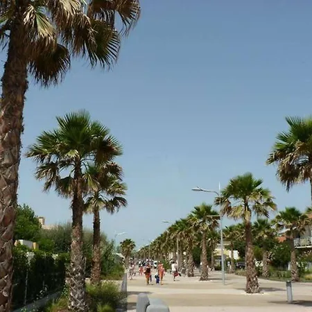 Lejlighed T1 Avec Terrasse, Parking, Proche Et Commodites - Fr-1-387-207 Marseillan (Herault)