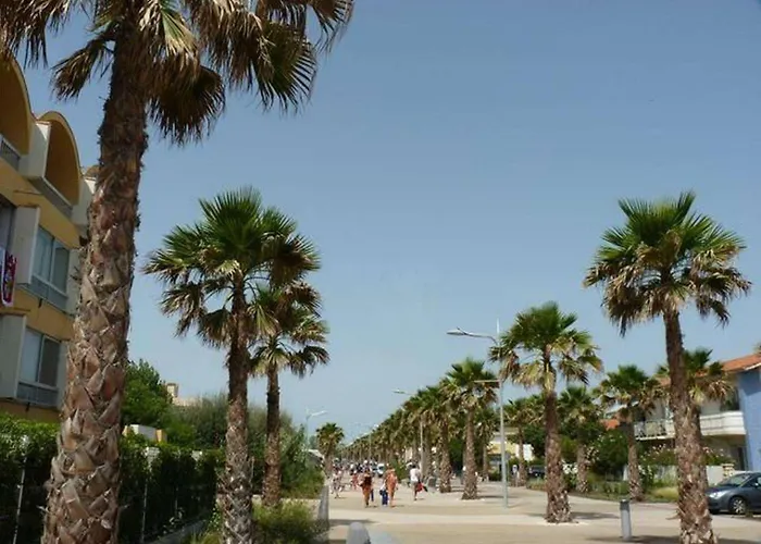 Appartement T1 Avec Terrasse, Parking, Proche Et Commodités - Fr-1-387-207 Marseillan (Herault)