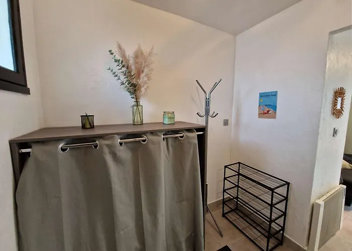 T1 Avec Terrasse, Parking, Proche Et Commodites - Fr-1-387-207 Marseillan (Herault)