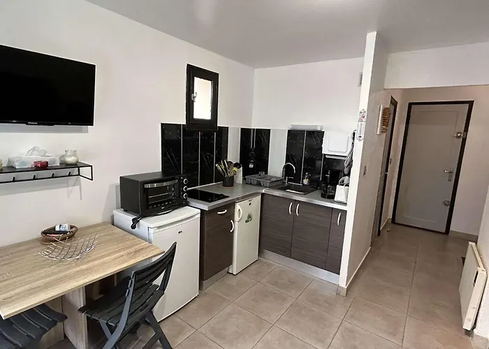 Lejlighed T1 Avec Terrasse, Parking, Proche Et Commodites - Fr-1-387-207 *