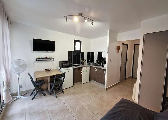 T1 Avec Terrasse, Parking, Proche Et Commodites - Fr-1-387-207 * Marseillan (Herault)