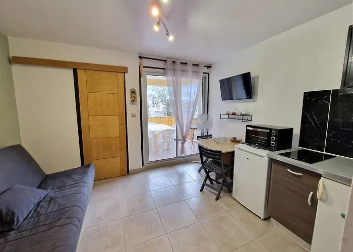 Lejlighed T1 Avec Terrasse, Parking, Proche Et Commodites - Fr-1-387-207